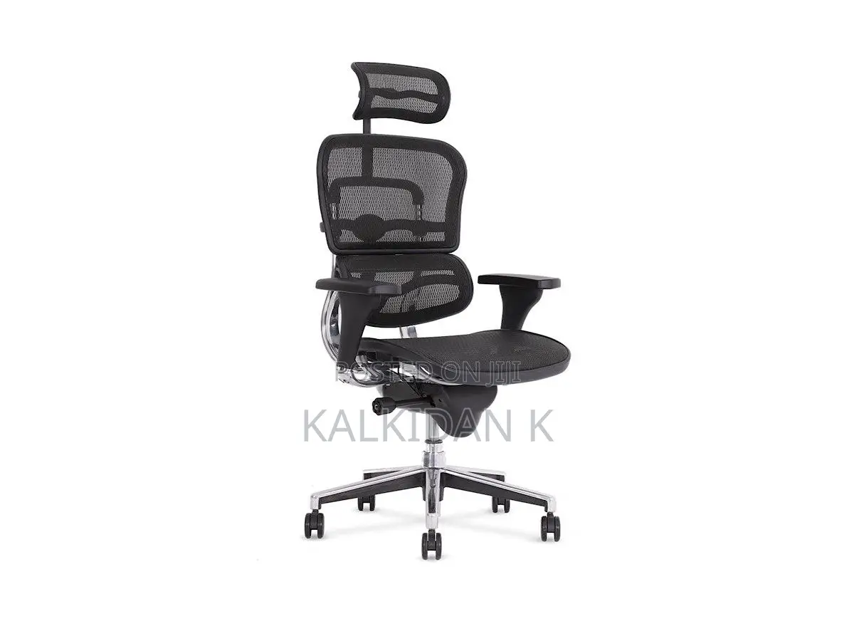 Erginomic Managerial Chair