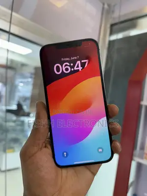 Apple iPhone 12 Pro Max 256 GB Black