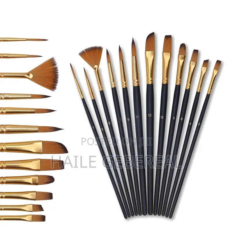 12 Piece Painting Brush
