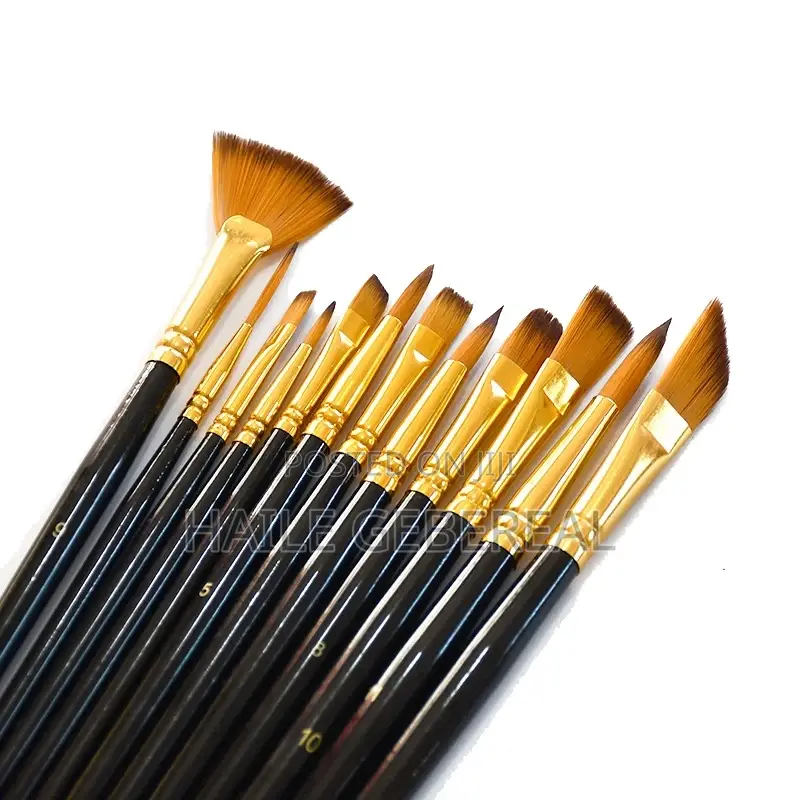 12 Piece Painting Brush