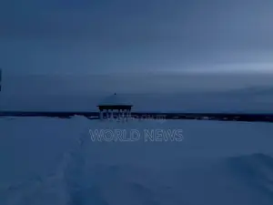 Photo - Dark Women Pussy