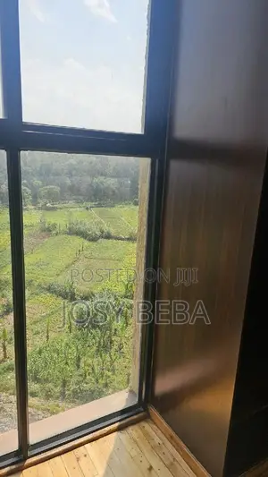 2bdrm Apartment in Bole for rent