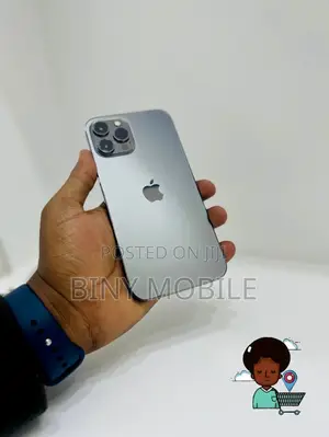 Apple iPhone 12 Pro Max 256 GB Gold