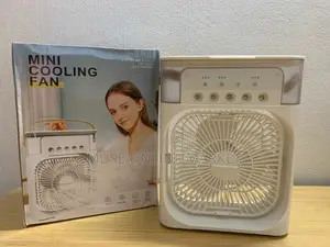 3 in 1 Fan and Humidifier