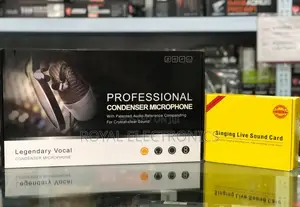 Original Legendary Vocal Condenser Microphone M800-V8