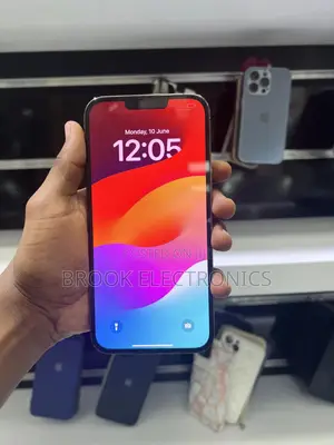 Apple iPhone 13 Pro Max 256 GB Black