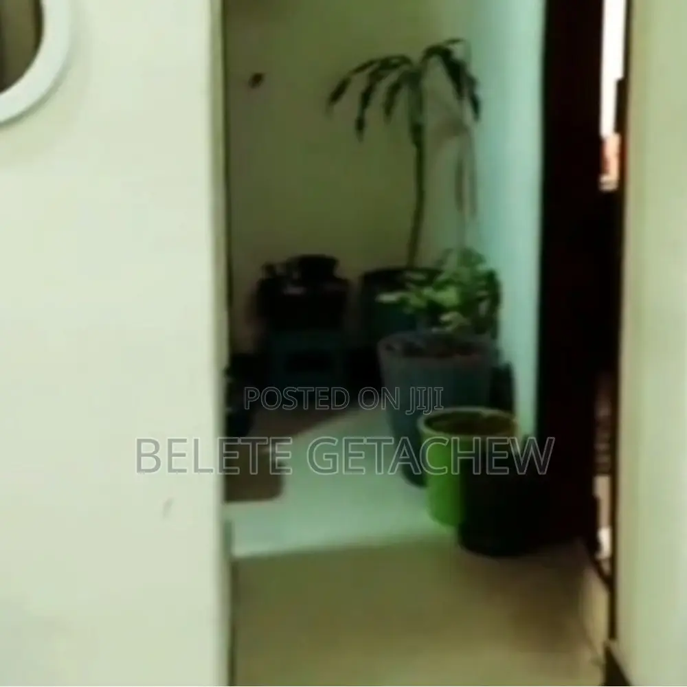 1bdrm Condo in Studio Bole Arabsa for sale