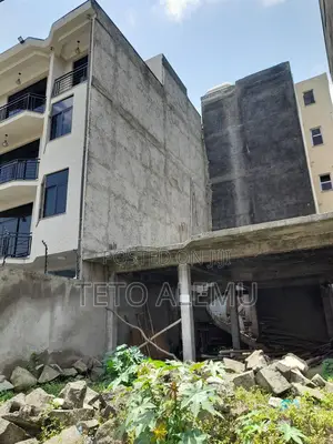 የሚሸጥ አንድ ስላቭ የወጣ አያት ዲያስፖራ