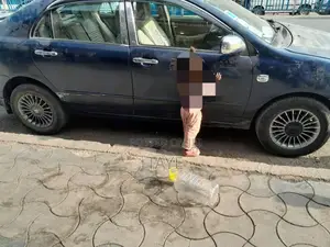 Toyota Corolla 2005 Blue