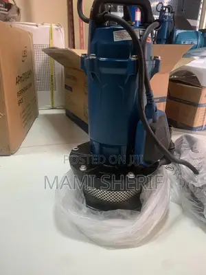 Photo - Aquastrong Submersible Pump 1HP