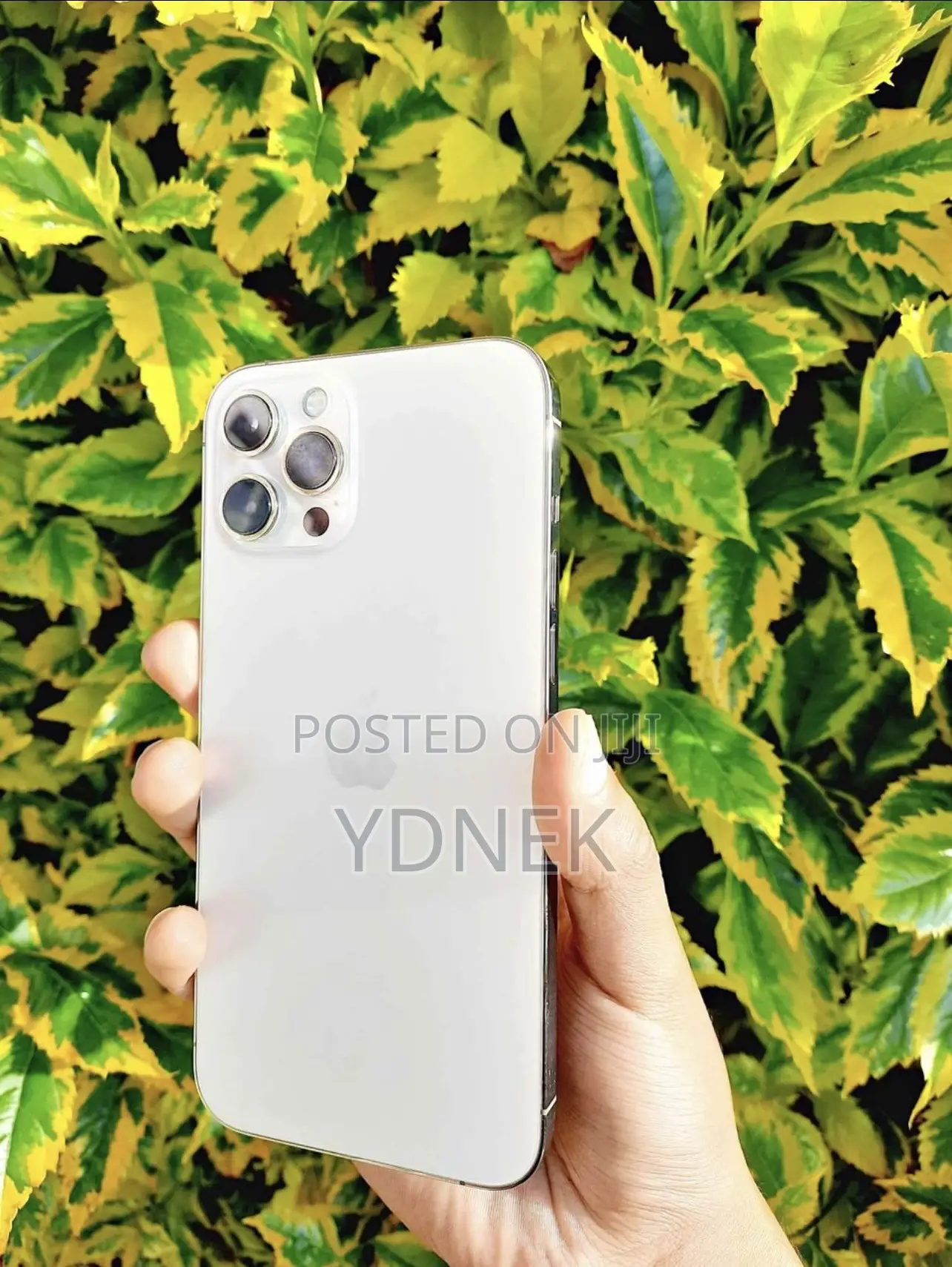 Apple iPhone 12 Pro Max 256 GB White