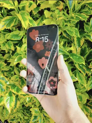 Photo - Apple iPhone 12 Pro Max 256 GB White