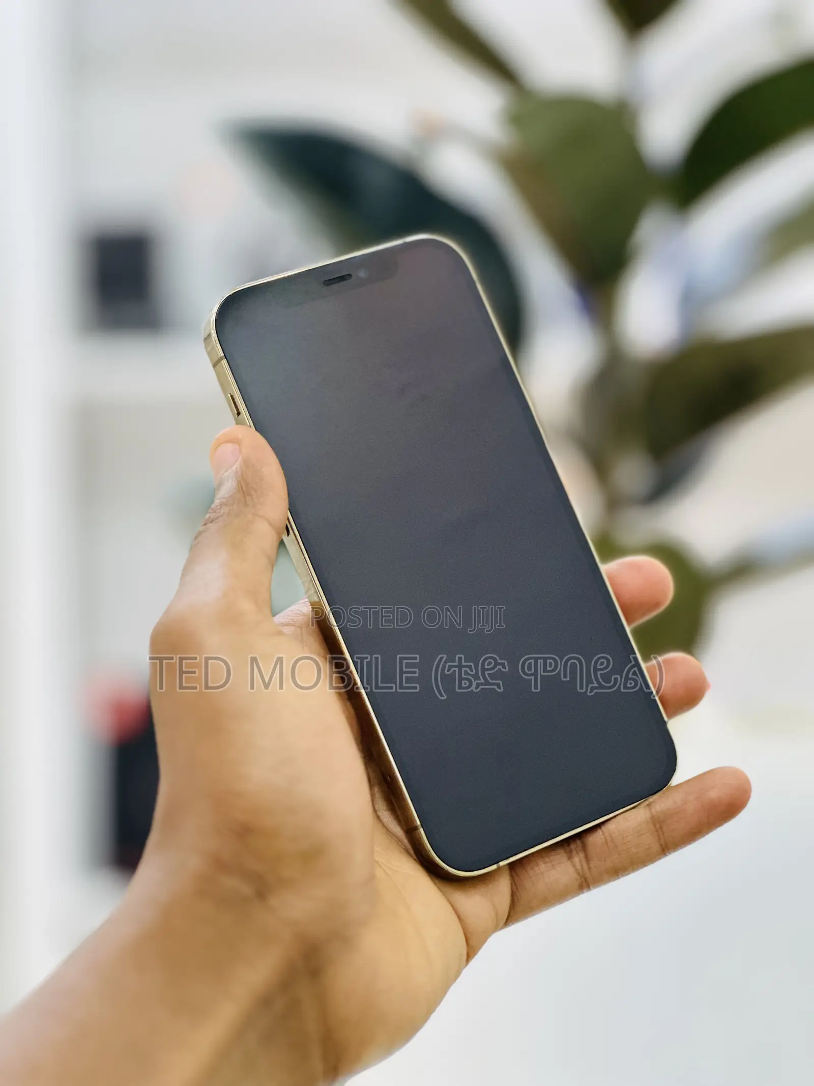 Apple iPhone 12 Pro 256 GB