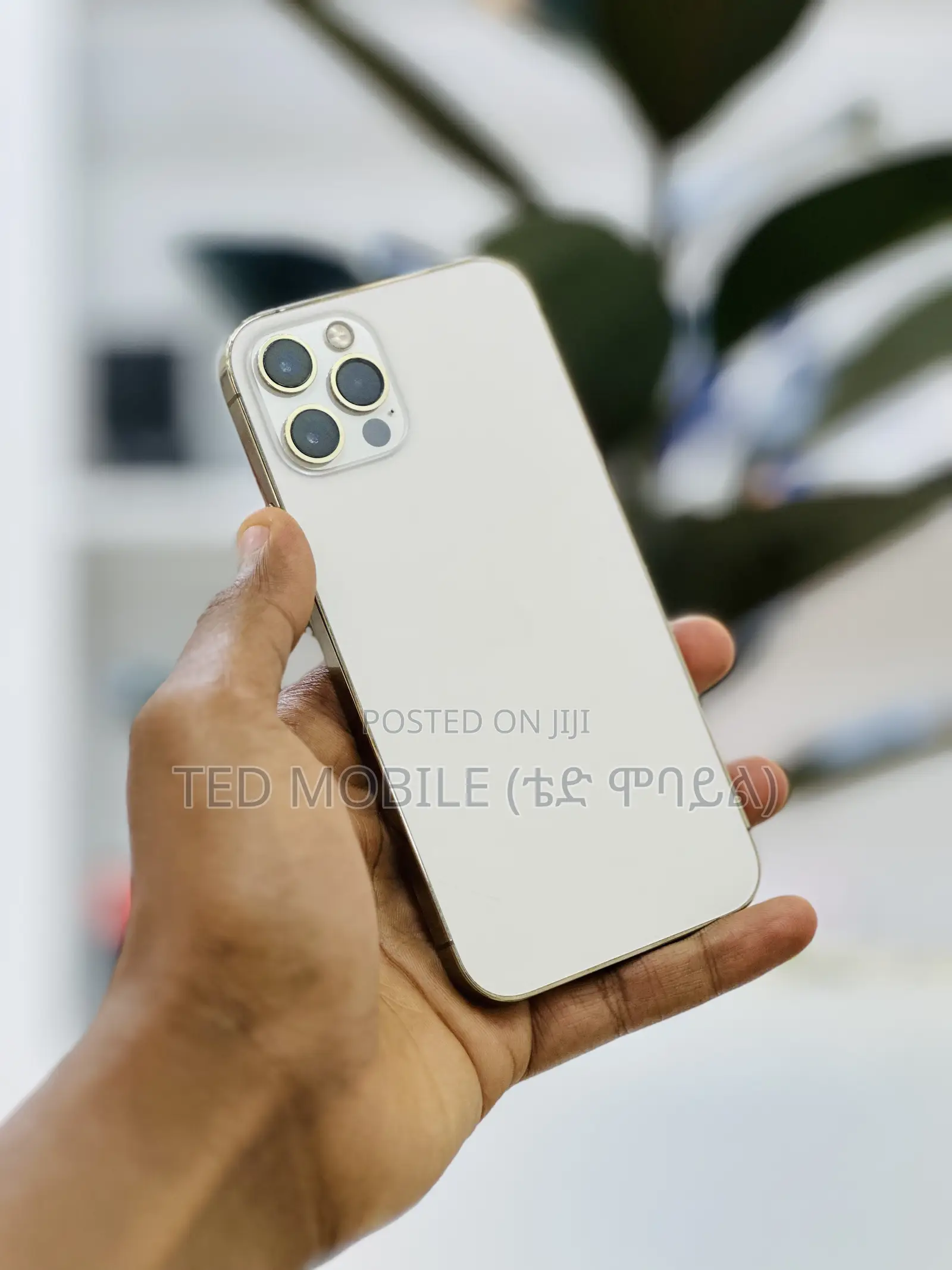 Apple iPhone 12 Pro 256 GB