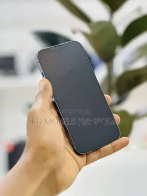 Apple iPhone 13 Pro 256 GB Blue