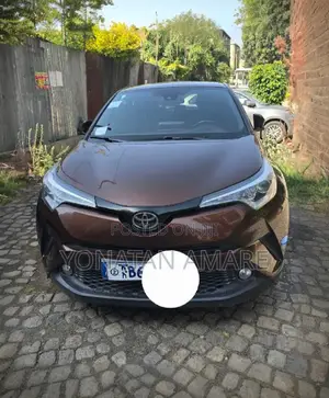 Toyota C-HR 2019 Brown