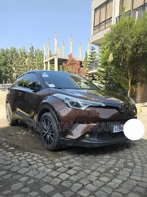 Toyota C-HR 2019 Brown