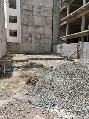 የሚሸጥ መሰርት የወጣ አራብሳ ዲያስፖራ