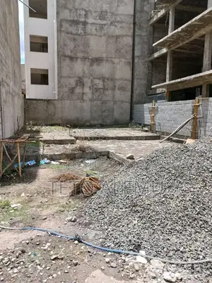 የሚሸጥ መሰርት የወጣ አራብሳ ዲያስፖራ