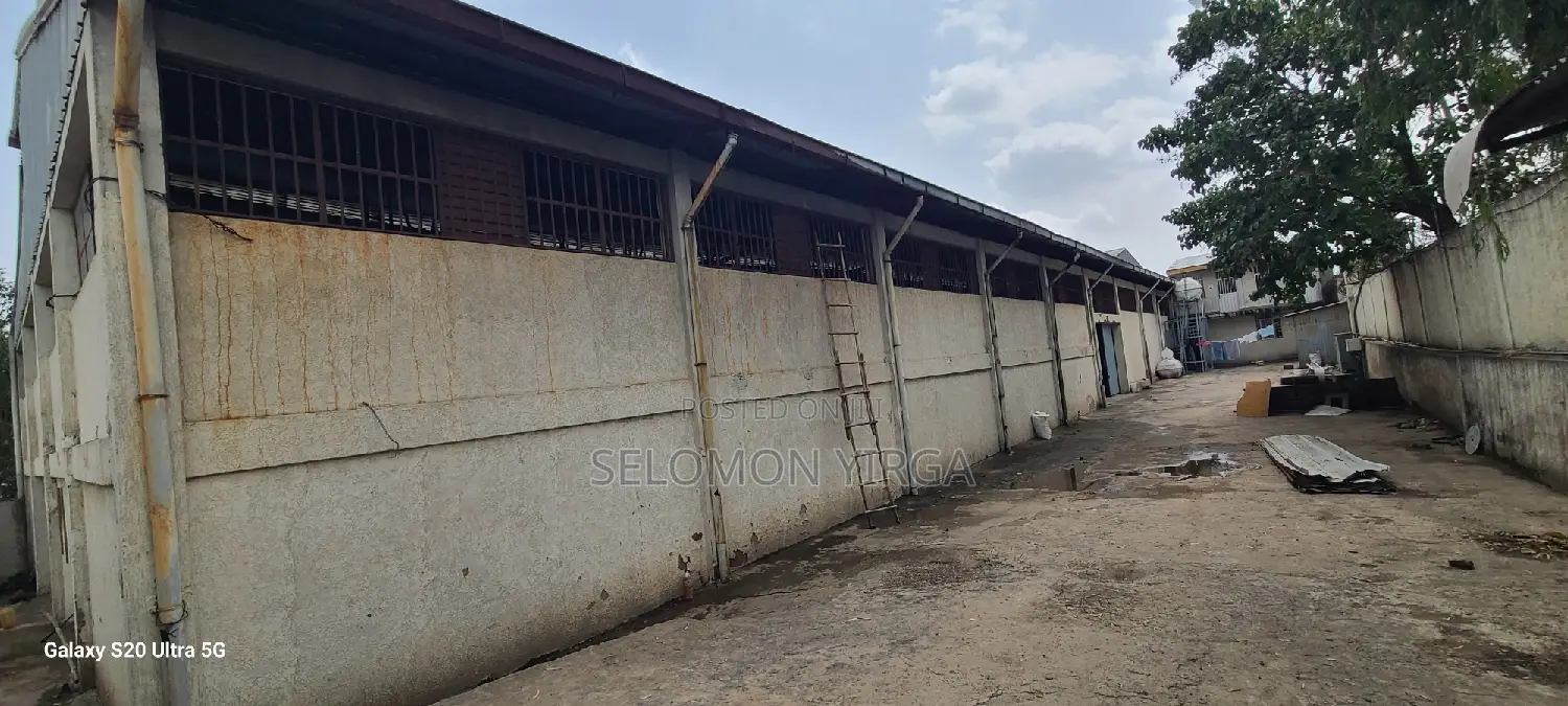 Warehouse for Rent, Addis Ababa, Kalitu