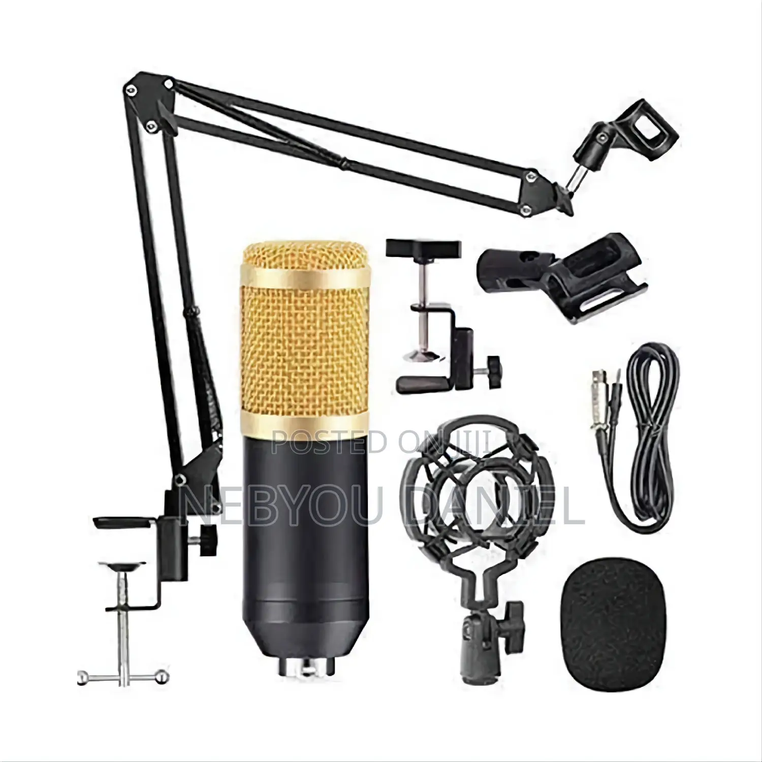 Proffesional Condensor Microphone