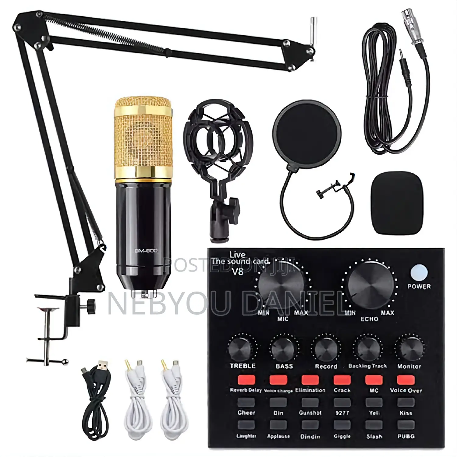Proffesional Condensor Microphone