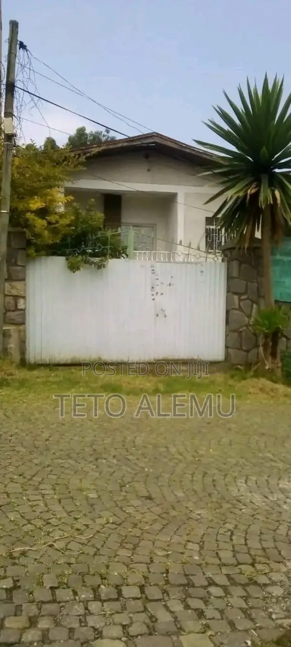 የሚሸጥ ቦታ ይርር አለማየሁ አካባቢ