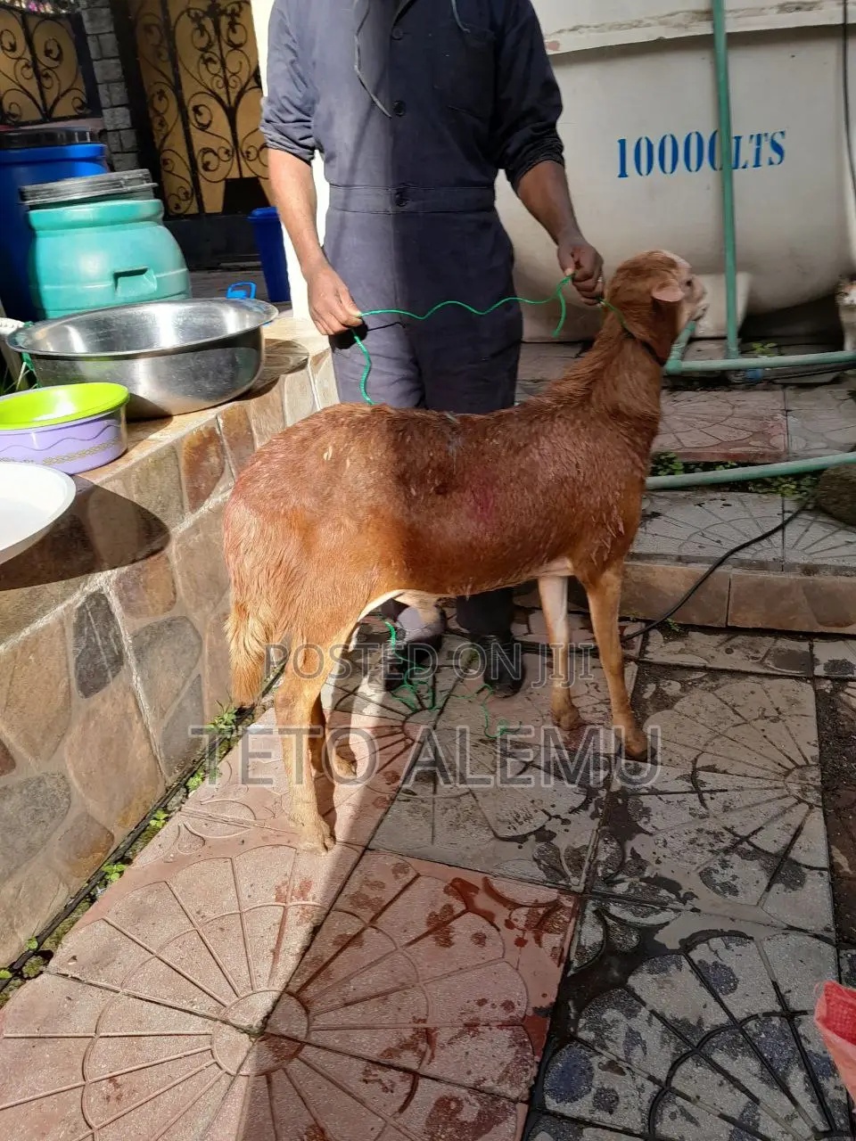 6bdrm House in የሚሸጥ ቤት አያት ሰንሻይን, Yeka for sale