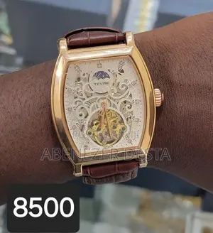Tevise Automatic Men's Watch