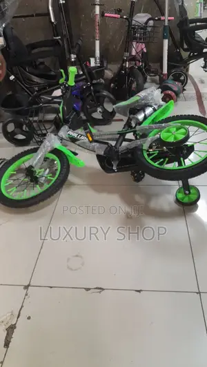 Phillips Bike Kids Bicycle