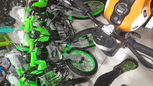 Phillips Bike Kids Bicycle