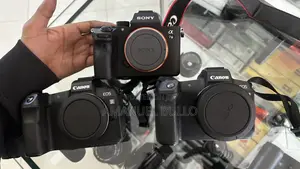Photo - Canon R and Other Mirrorless Camera