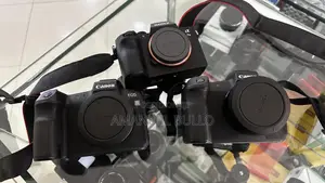 Canon R and Other Mirrorless Camera