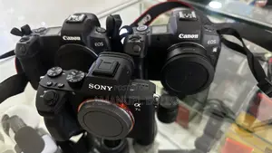 Canon R and Other Mirrorless Camera
