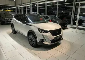 Photo - New Peugeot 2008 2023 White