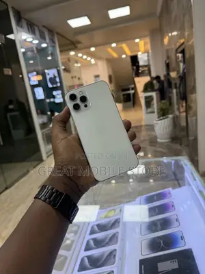 Apple iPhone 12 Pro Max 256 GB Silver