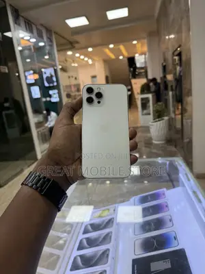 Photo - Apple iPhone 12 Pro Max 256 GB Silver