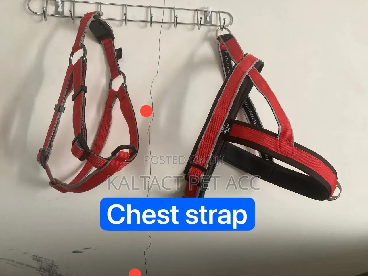 Normal Dog Harness