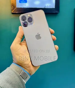 Apple iPhone 13 Pro Max 256 GB Gray