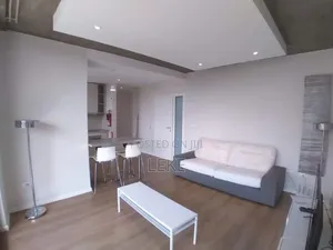 Furnished 1bdrm Apartment in Bole for rent