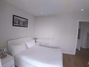 Furnished 1bdrm Apartment in Bole for rent