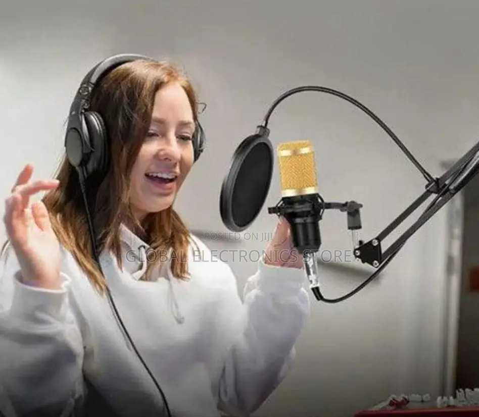 Legendary Vocal Condenser Microphone