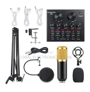 Legendary Vocal Condenser Microphone