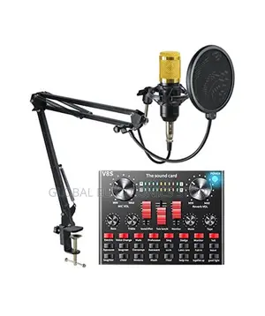 Photo - Legendary Vocal Condenser Microphone