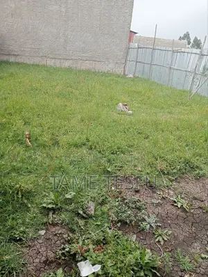 1bdrm House in Tafoo, Oromia-Finfinne for sale