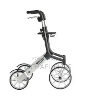 Photo - Walk Assistant and Wheelchair