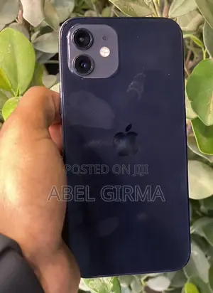 Apple iPhone 12 256 GB Blue