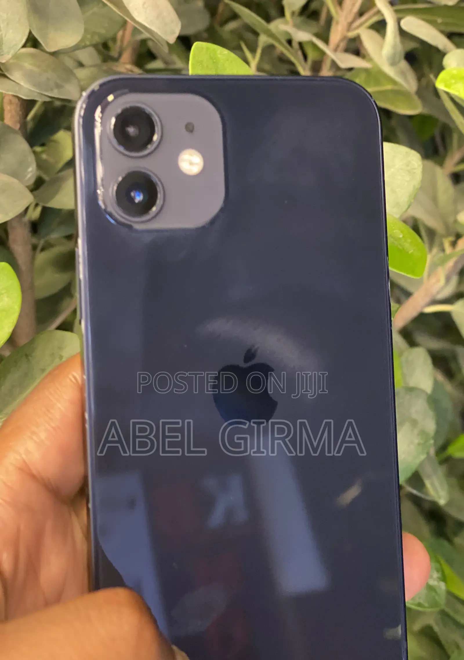 Apple iPhone 12 256 GB Blue