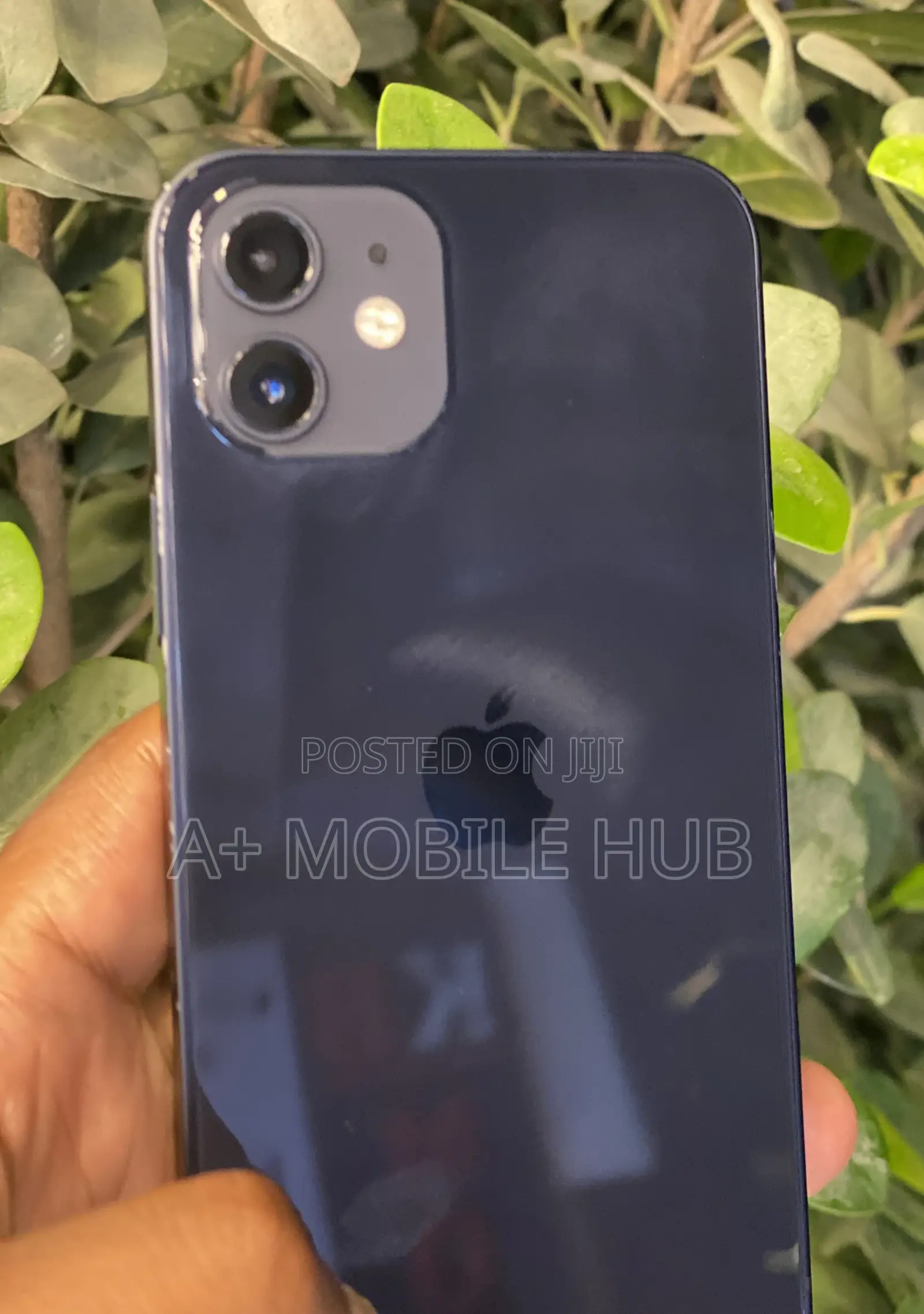 Apple iPhone 12 256 GB Blue