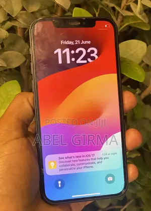 Photo - Apple iPhone 12 256 GB Blue